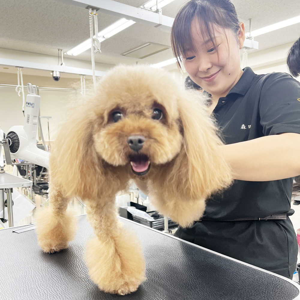 今日もたくさんのお客様！